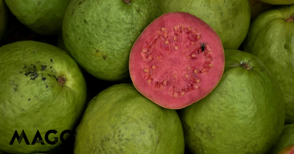 Pacotinhos de sumo Compal vão ter um novo sabor. Imagina o que aí vem ...